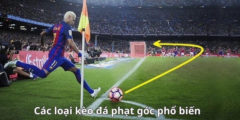 Các Loại Kèo Phạt Góc Phổ Tại S666